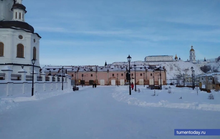 Тобольские ученые выпустили новый сборник по сибирской тюркологии
