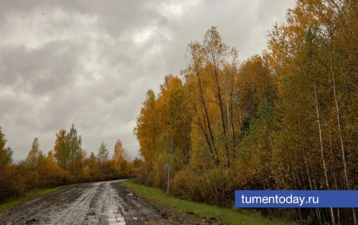 26 октября в Тюмени потеплеет до +6 градусов