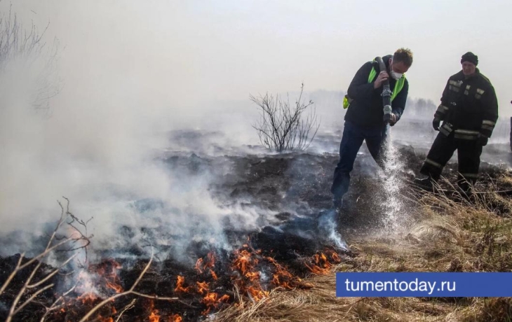 Пожароопасный сезон в Тюменской области прошел спокойно