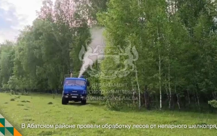 Очаги непарного шелкопряда выявили в двух муниципалитетах Тюменской области Очаги непарного шелкопряда выявили в двух муниципалитетах Тюменской области
