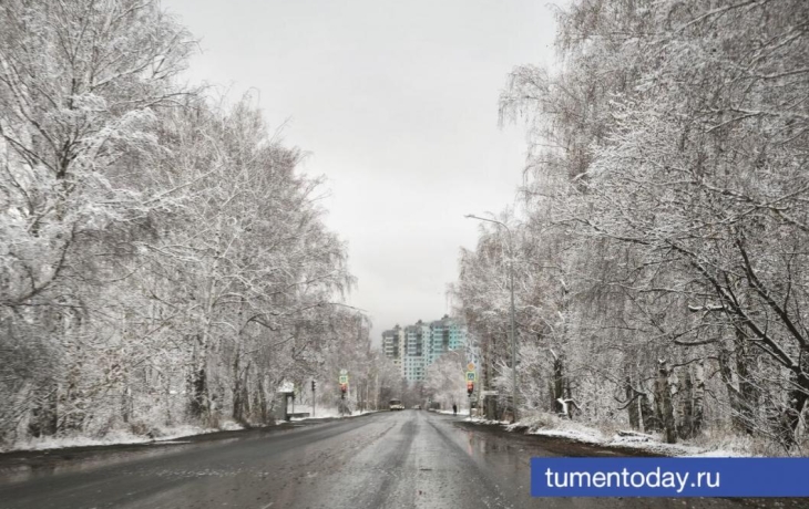 В Тюмени столбики термометров опустятся до -10 градусов 3 ноября