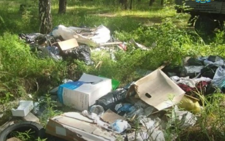 Тюменец заплатит крупный штраф за свалку в лесу