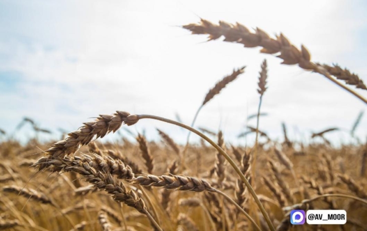 Замгубернатора Тюменской области рассказал о внедрении беспилотных летательных аппаратов в сельское хозяйство