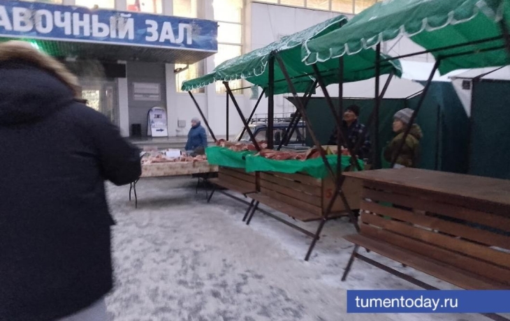 Продовольственная ярмарка в Тюмени пройдет на 4-х площадках Продовольственная ярмарка в Тюмени пройдет на 4-х площадках