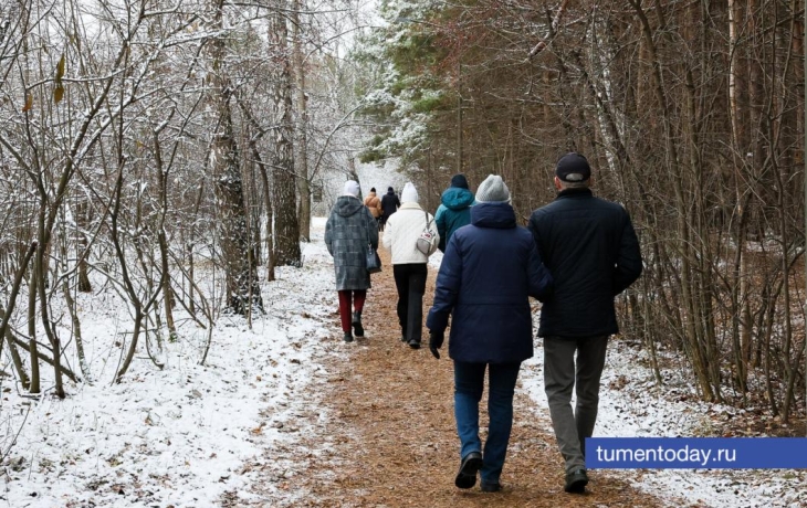 Тюмень встречает первый снег: фотогалерея белых улиц