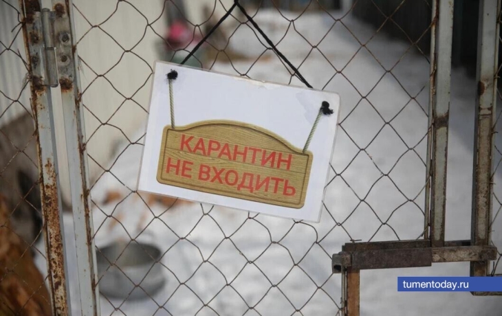 В селе Новоатьялово отменили карантин по бешенству животных