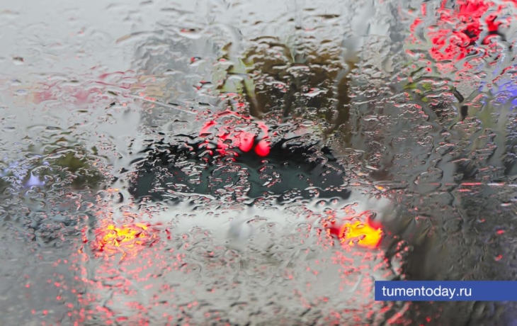 Днем 31 октября в Тюмени будет дождливо Днем 31 октября в Тюмени будет дождливо
