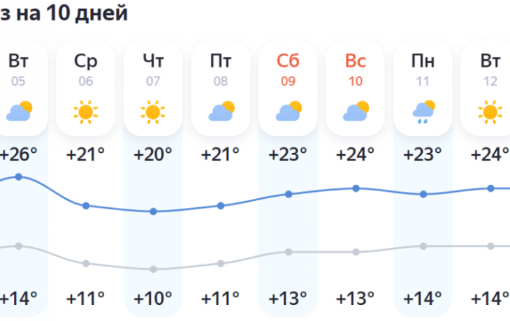 Солнце и умеренное тепло встретят тюменцев на этой неделе