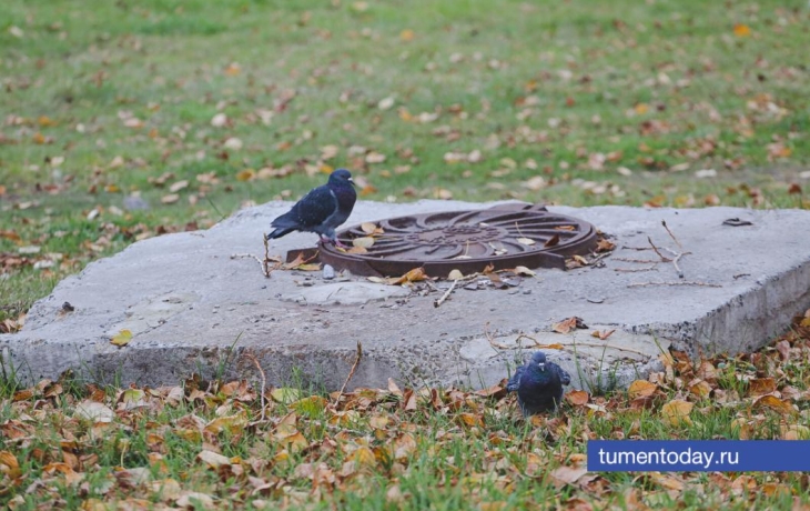 30 октября в Тюмени будет +9 и небольшой дождь 30 октября в Тюмени будет +9 и небольшой дождь