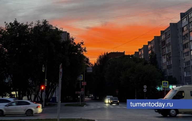Пятница в тюмени будет солнечной, до +25 градусов Пятница в тюмени будет солнечной, до +25 градусов