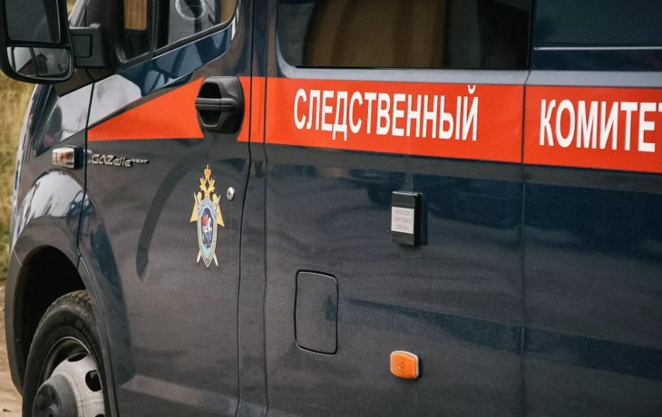 Бастрыкин поручил возбудить дело из-за плохого отлова собак в Тюмени