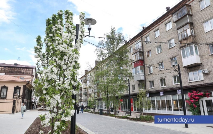 В ходе рейдов на Дзержинского в Тюмени есть первые задержания