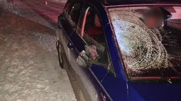 Под колёса автомобиля Škoda попал мужчина в возрасте 48 лет.