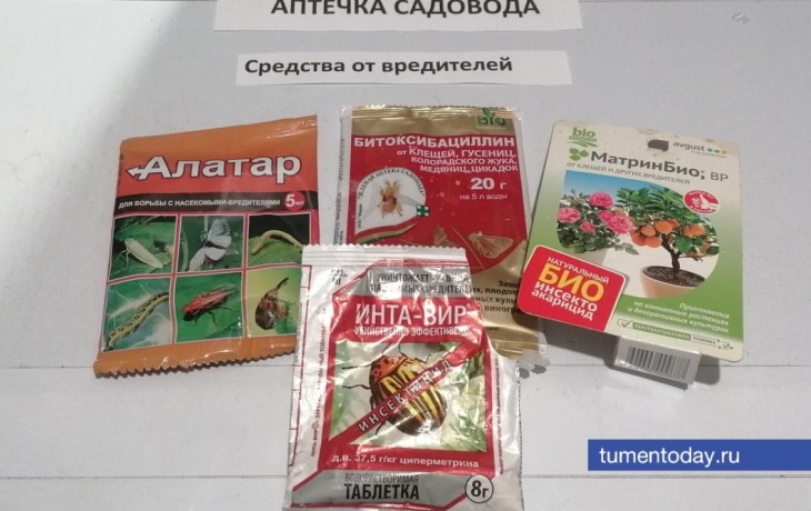 Садовая аптечка: какие препараты должны быть у дачника