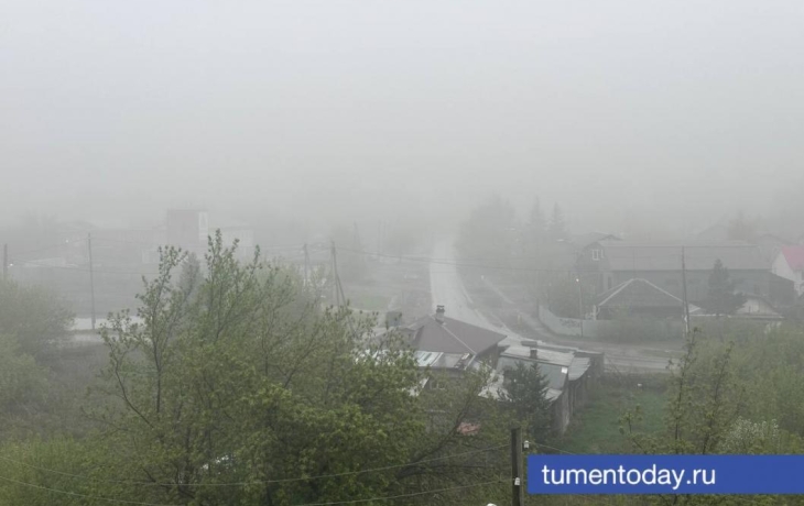 В Тюмени продолжаются дожди