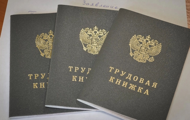 В Тюменской области за полгода официальную работу нашли более 13 тысяч человек В Тюменской области за полгода официальную работу нашли более 13 тысяч человек