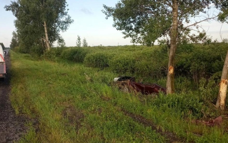 На тюменской трассе 33-летний водитель столкнулся с деревом и погиб На тюменской трассе 33-летний водитель столкнулся с деревом и погиб