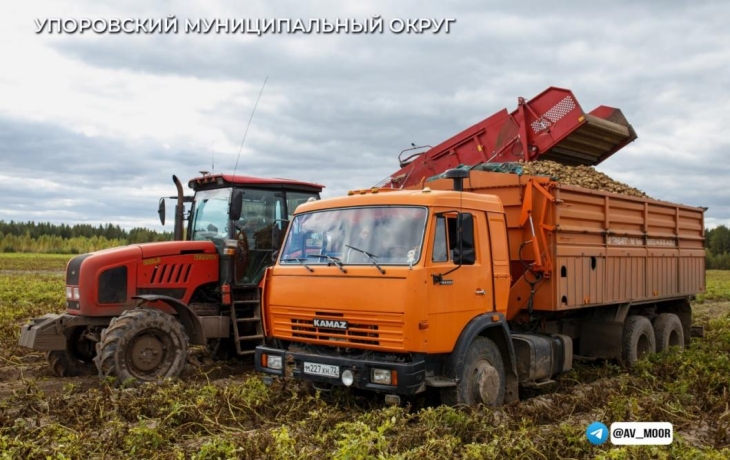 Тюменские аграрии начали сбор урожая овощей