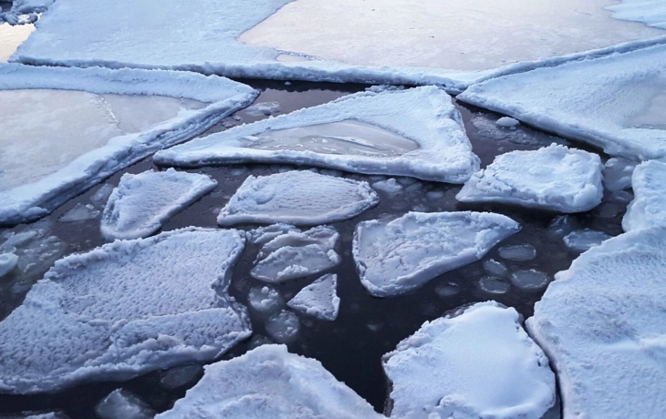 На Утином карьере в Тюмени началась масштабная очистка водоема На Утином карьере в Тюмени началась масштабная очистка водоема