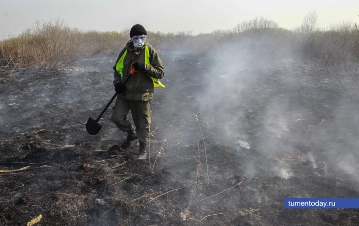В Тюменской области произошло 28 ландшафтных пожаров с начала сезона