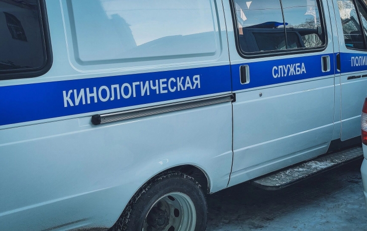 Эвакуация в тюменских школах: раздетых детей в +2 и снег вывели на улицу Эвакуация в тюменских школах: раздетых детей в +2 и снег вывели на улицу