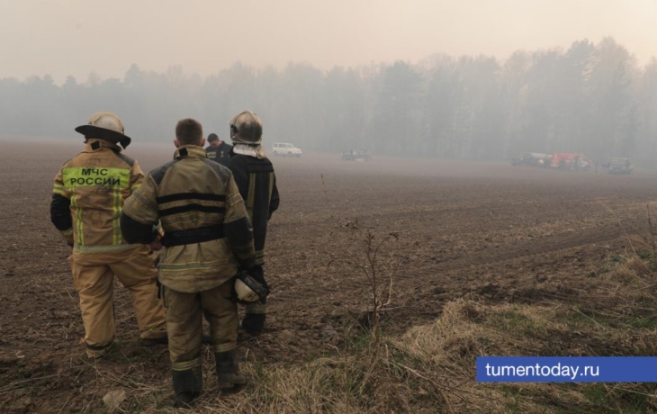 Оперативная сводка: в Тюменской области ликвидировали 2 лесных пожара Оперативная сводка: в Тюменской области ликвидировали 2 лесных пожара