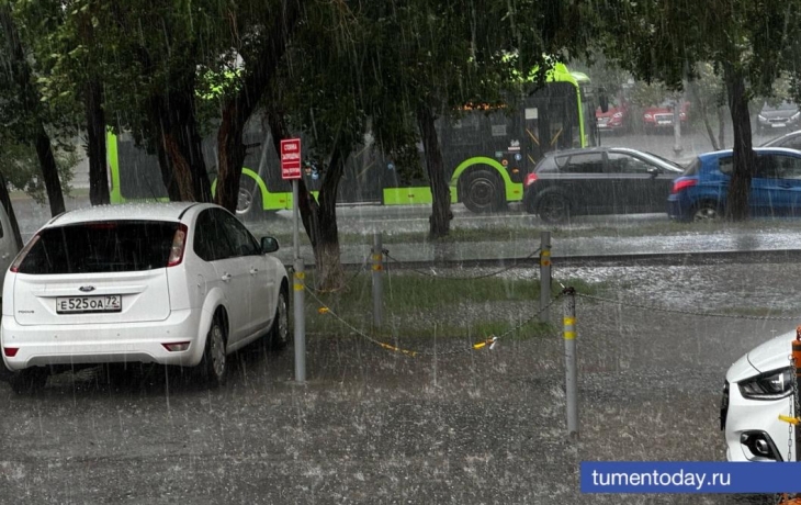 В центре Тюмени прошел дождь с градом В центре Тюмени прошел дождь с градом