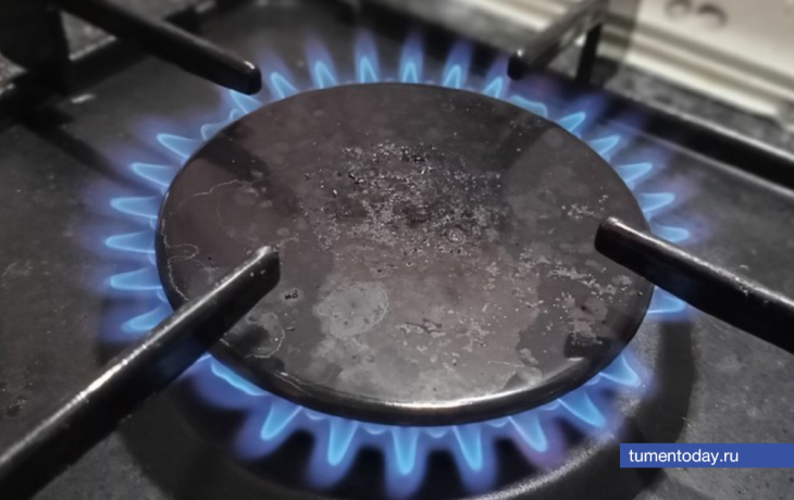В Тюменской области газифицируют 1607 домов в 2025 году