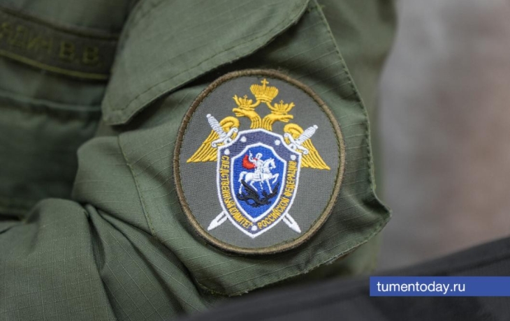 Глава СКР Бастрыкин заинтересовался делом о применении насилия к полицейскому в Тюмени