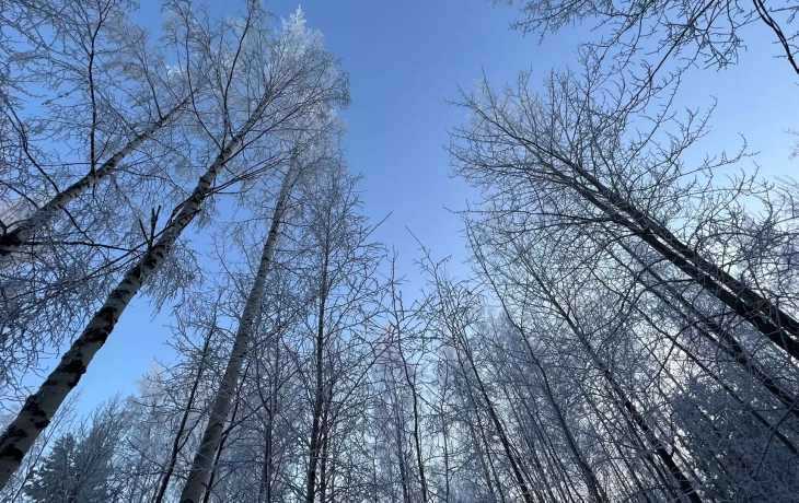 В Тюмени 19 декабря ожидается снег и -5