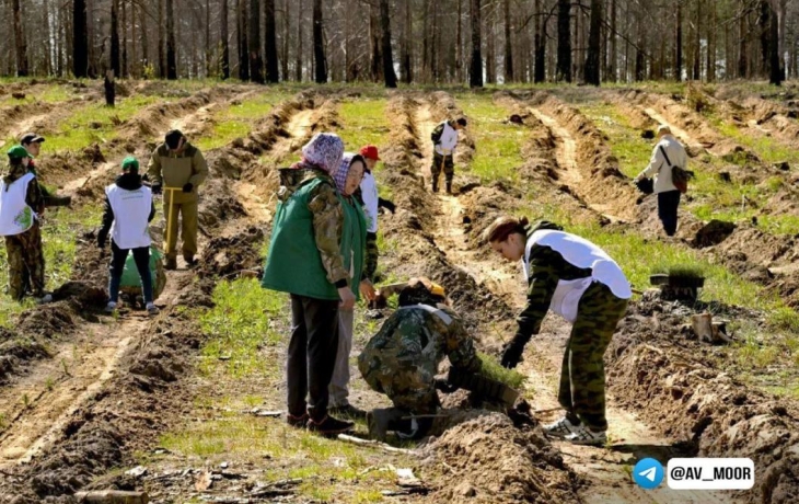 Более 300 саженцев высадили в Тюменской области в рамках акции «Сад памяти» Более 300 саженцев высадили в Тюменской области в рамках акции «Сад памяти»