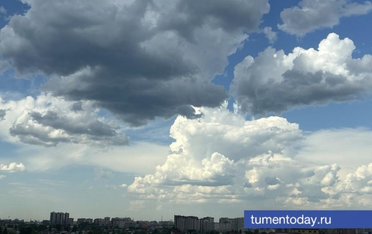 В Тюмени 5 июня ожидается погода без осадков и +21 В Тюмени 5 июня ожидается погода без осадков и +21