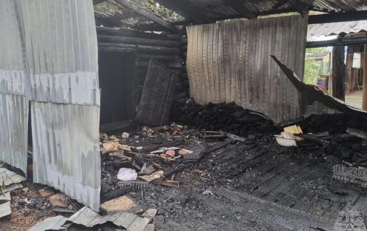 В тюменском селе во время пожара погиб человек