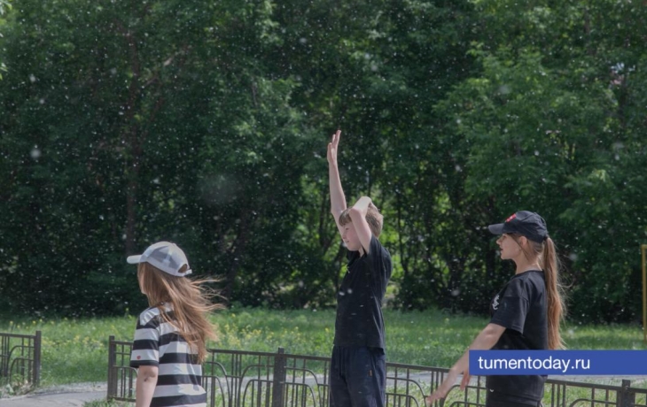 Тюмень накрыл тополиный пух: фотогалерея Тюмень накрыл тополиный пух: фотогалерея