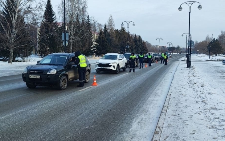 В Тюменской области в новогодние праздники водителей будут проверять на трезвость