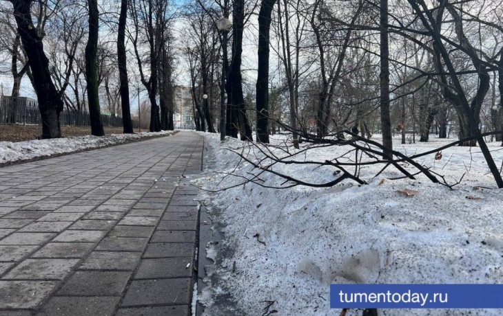18 марта в Тюмени продолжит таять снег при +2 градусах