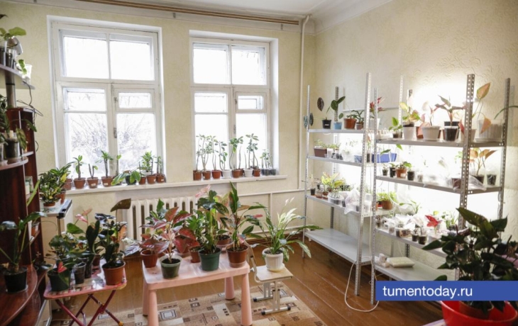 Как приручить красавицу орхидею, рассказывает тюменский агроном