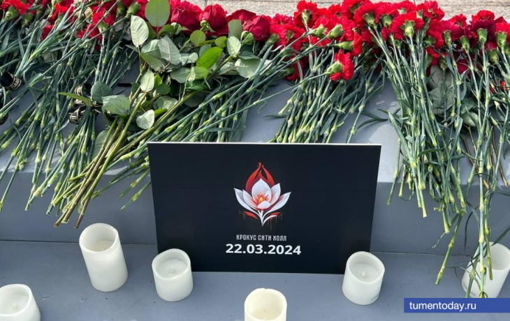 Год после трагедии в «Крокус Сити Холле». Памятка, как действовать в случае ЧС