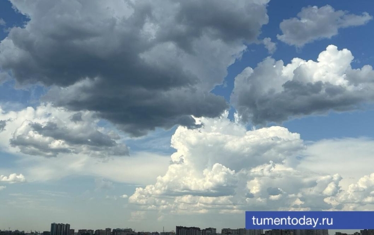 7 июля в Тюмени будет облачно, +20⁠°C тепла