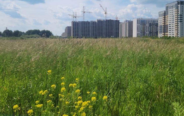 В Тюмени параллельно построят новые детсад и школу до 2028 года В Тюмени параллельно построят новые детсад и школу до 2028 года