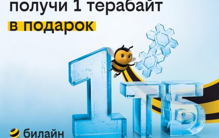 1 терабайт для всех: билайн дарит возможность забыть о трафике на целый год