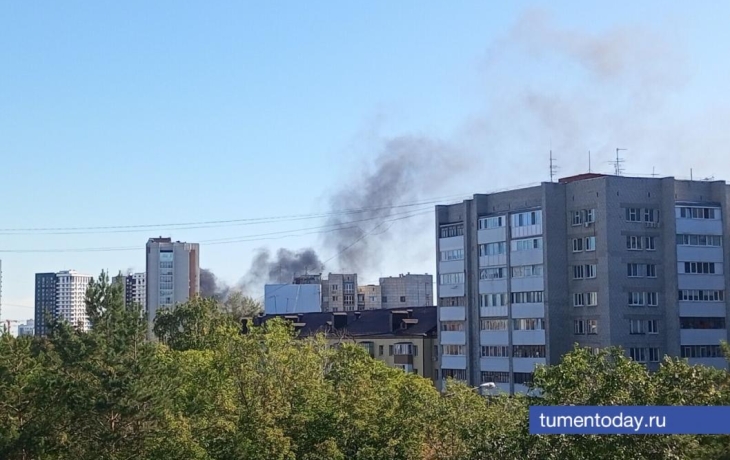 Тюменцы заметили столбы дыма в заречной части города