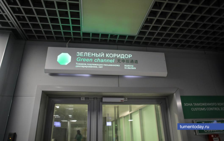 Почти 200 кг запрещенных продуктов изъяли в аэропорту Тюмени в 2024 году