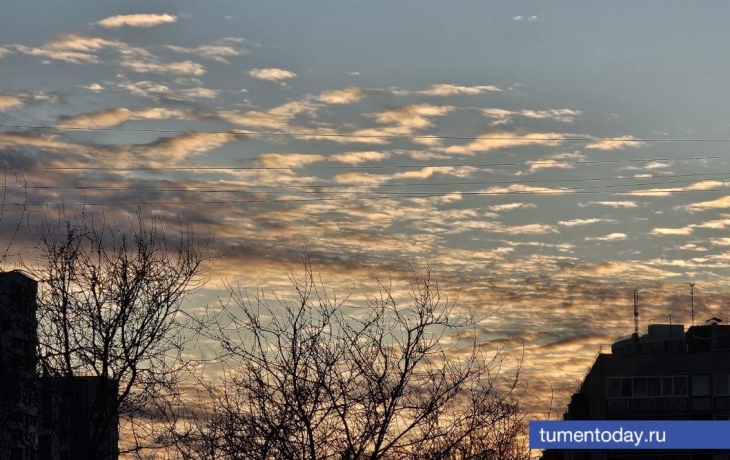 Днем 21 ноября в Тюмени будет &ndash;2 градуса