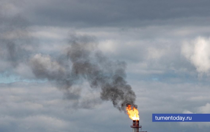 Тюменские ученые создали 3D-модель нефтяной залежи ЯНАО
