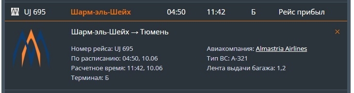Многочасовая задержка рейсов сорвала тюменцам отдых в Египте