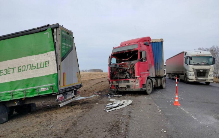 Виновнику смертельной аварии с тремя фурами вынесли приговор