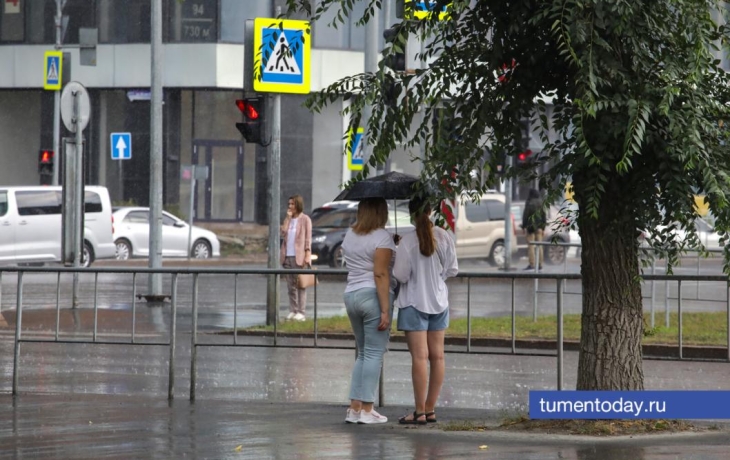 27 августа в Тюмень придут дожди и грозы, до +22 днем