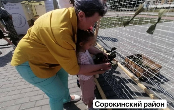 В муниципалитетах Тюменской области отметили День России с размахом