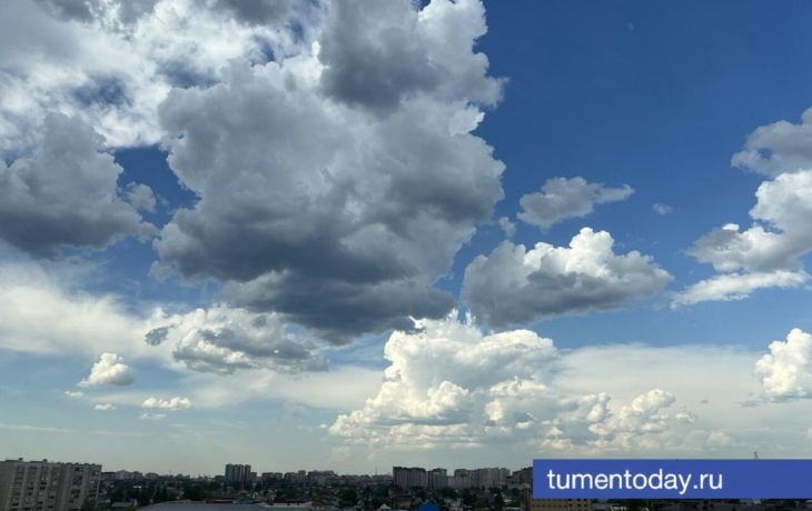 6 июня в Тюмени +20, днем преимущественно без осадков 6 июня в Тюмени +20, днем преимущественно без осадков